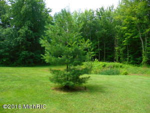 51271 50th St, Lawrence, MI 49064 photo 85