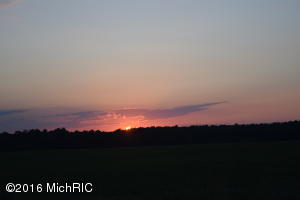 9905 Beachview Dr, Jerome, MI 49249 photo 67
