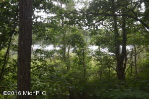 9905 Beachview Dr, Jerome, MI 49249 photo 46