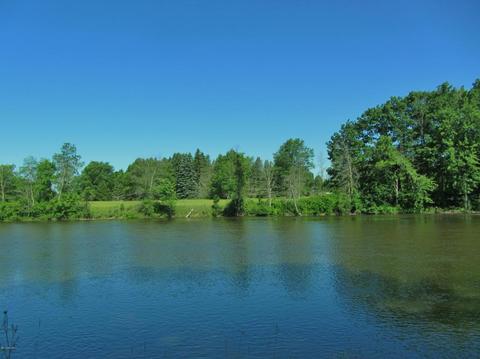 5810 Logging Trail Dr, Evart, MI 49631 photo 2