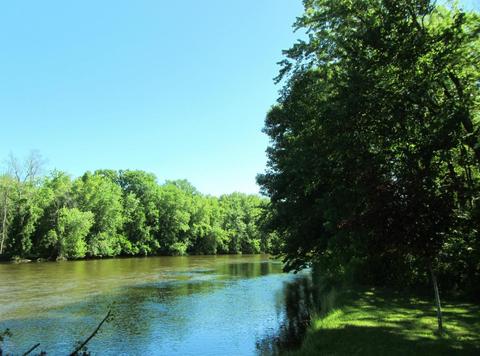 5810 Logging Trail Dr, Evart, MI 49631 photo 21
