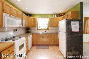 425 River St, Belding, MI 48809 photo 8