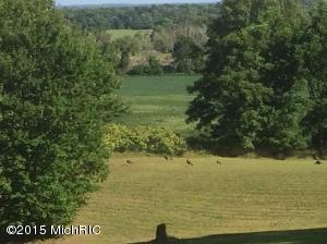 55531 Ruggles Rd, Three Rivers, MI 49093 photo 33