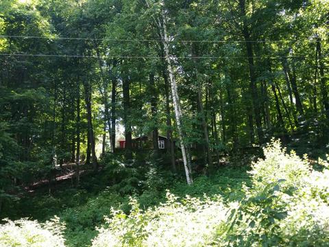 451 E 56th, Newaygo, MI 49337 photo 33