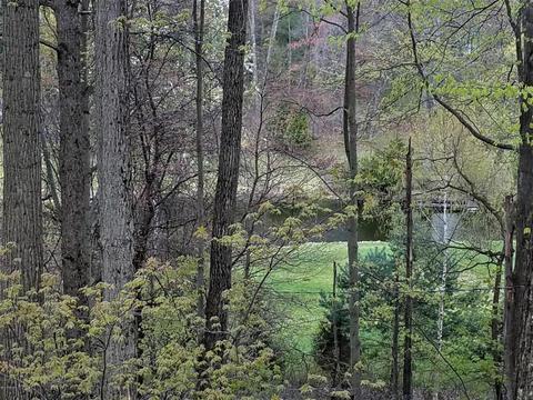 451 E 56th, Newaygo, MI 49337 photo 32