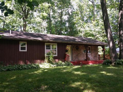451 E 56th, Newaygo, MI 49337 photo 1