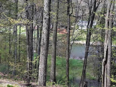 451 E 56th, Newaygo, MI 49337 photo 4