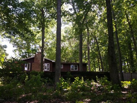 451 E 56th, Newaygo, MI 49337 photo 30