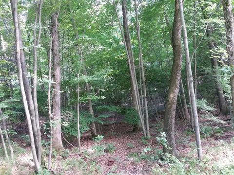 451 E 56th, Newaygo, MI 49337 photo 40