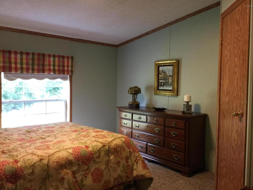 5701 E Riverside Dr, Lyons, MI 48851 photo 6