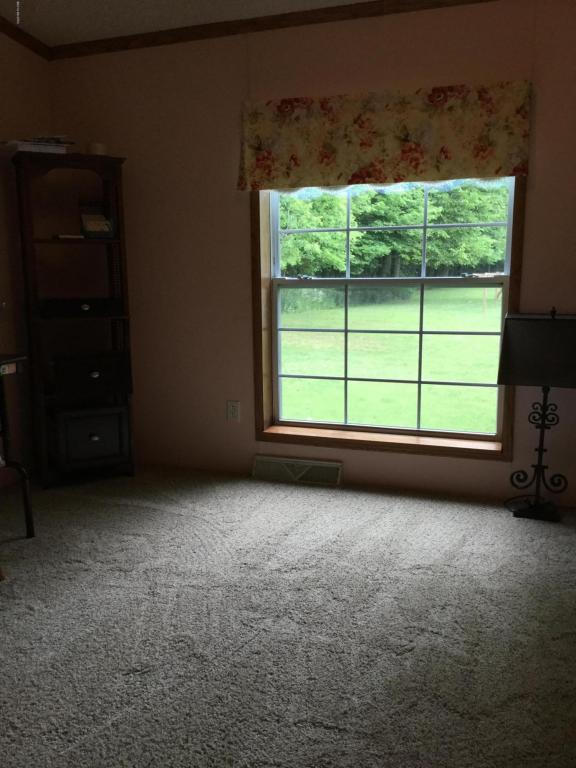 5701 E Riverside Dr, Lyons, MI 48851 photo 22