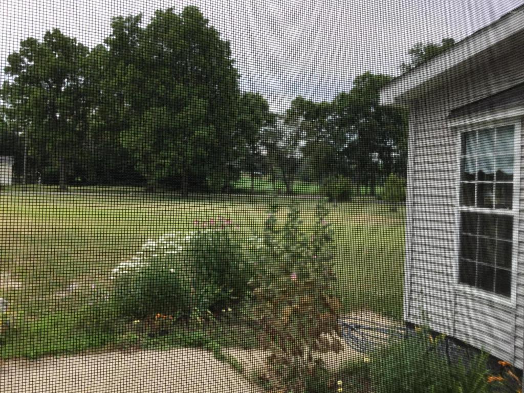 5701 E Riverside Dr, Lyons, MI 48851 photo 36