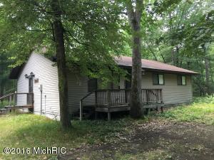 6437 E Barothy Rd, Custer, MI 49405 photo 3