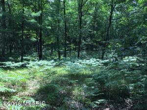 6437 E Barothy Rd, Custer, MI 49405 photo 29
