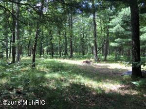 6437 E Barothy Rd, Custer, MI 49405 photo 9
