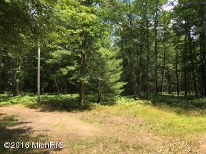 6437 E Barothy Rd, Custer, MI 49405 photo 8