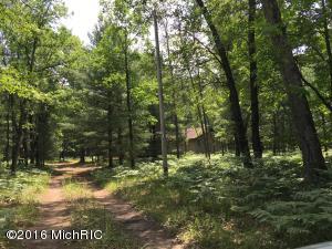 6437 E Barothy Rd, Custer, MI 49405 photo 7
