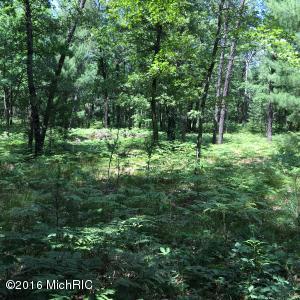 6437 E Barothy Rd, Custer, MI 49405 photo 30