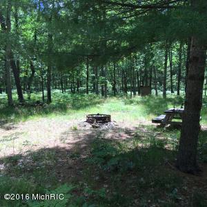 6437 E Barothy Rd, Custer, MI 49405 photo 28