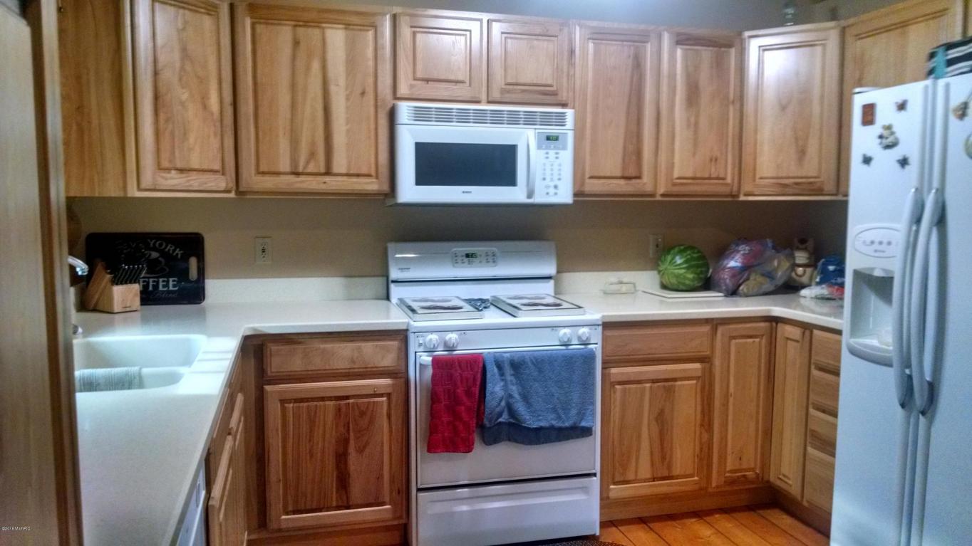 3688 S Ferris Rd, Sumner, MI 48889 photo 3