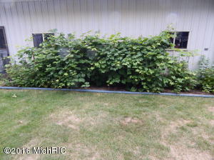 5336 Front St, Newaygo, MI 49337 photo 20