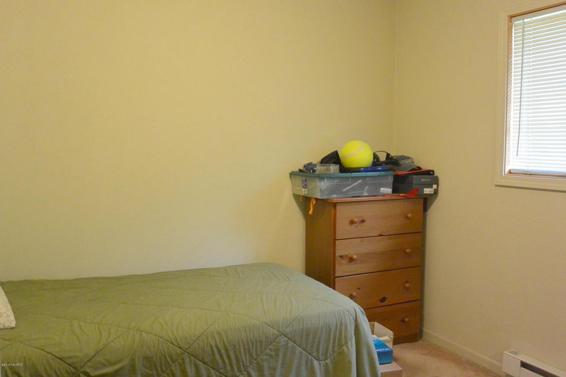 14652 N Main St, Buchanan, MI 49107 photo 26