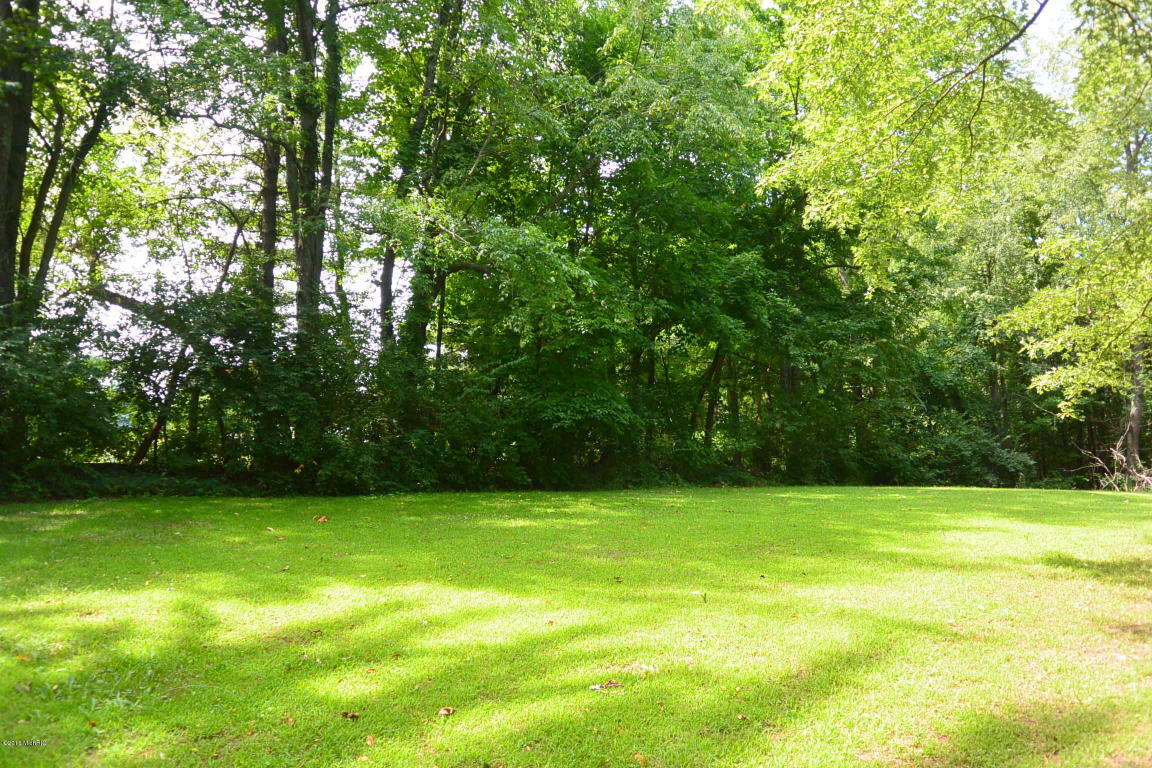 14652 N Main St, Buchanan, MI 49107 photo 4