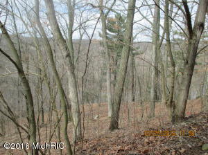 10850 Harkness Rd, Belding, MI 48809 photo 18