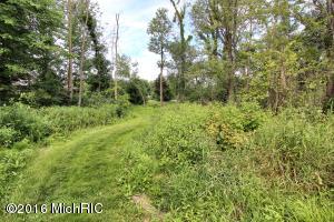 3555 Maple Leaf Ln, Hamilton, MI 49419 photo 35