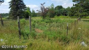 4535 E 1 Mile Rd, White Cloud, MI 49349 photo 8