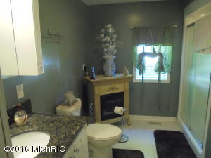 425 Garden, Muir, MI 48860 photo 28