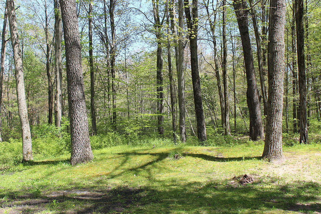 2862 N 5th St, White Cloud, MI 49349 photo 10