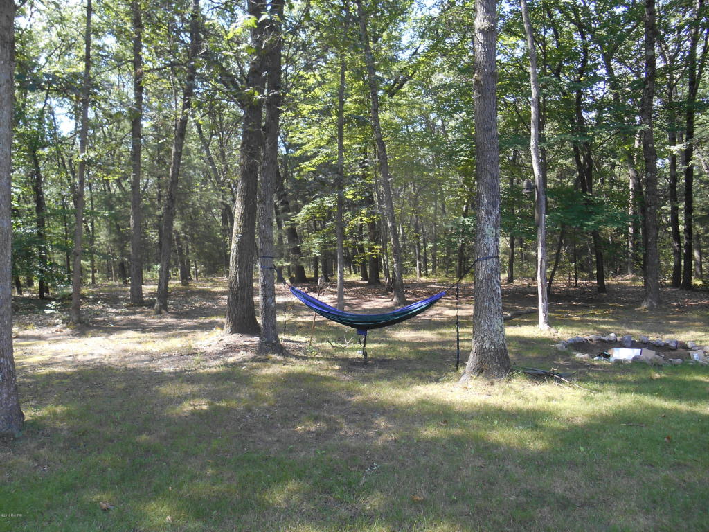 3030 E 82nd St, Newaygo, MI 49337 photo 14