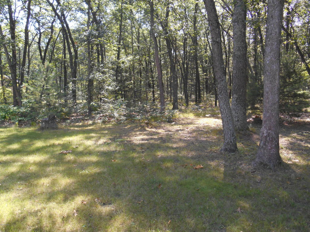 3030 E 82nd St, Newaygo, MI 49337 photo 15