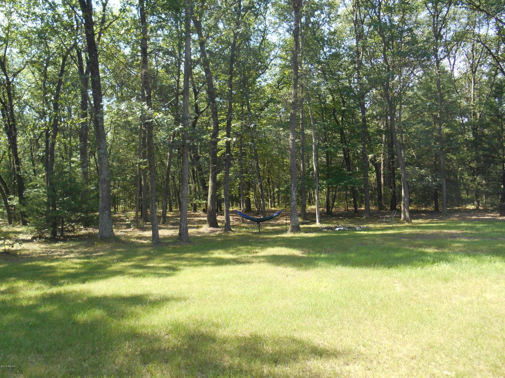 3030 E 82nd St, Newaygo, MI 49337 photo 13