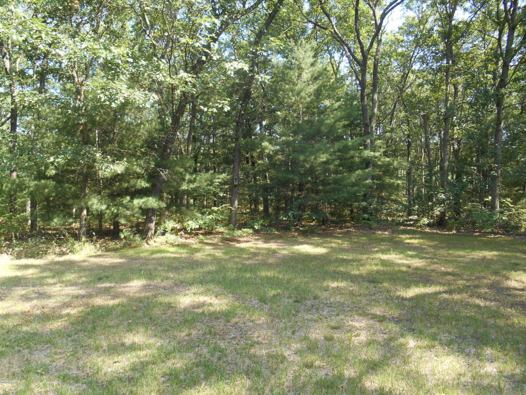 3030 E 82nd St, Newaygo, MI 49337 photo 16