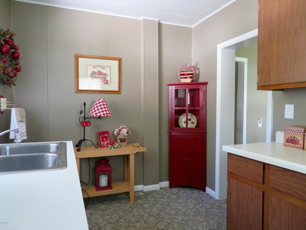 227 E Bradford, Stanton, MI 48888 photo 15