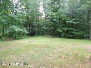 4018 E Shore Dr, Stanton, MI 48888 photo 29