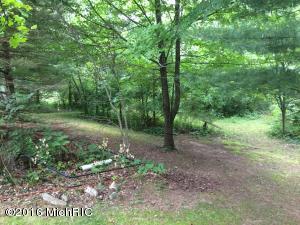 10175 Beachview Dr, Jerome, MI 49249 photo 14