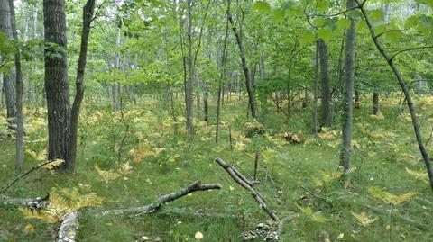 5710 E Barothy Rd, Custer, MI 49405 photo 24