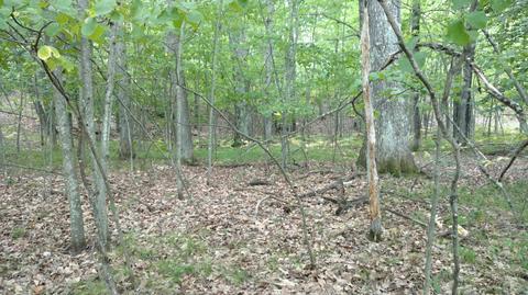 5710 E Barothy Rd, Custer, MI 49405 photo 22
