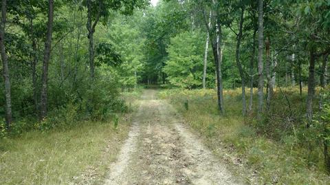 5710 E Barothy Rd, Custer, MI 49405 photo 5