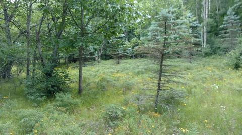 5710 E Barothy Rd, Custer, MI 49405 photo 11