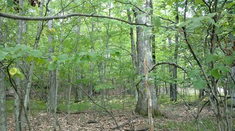5710 E Barothy Rd, Custer, MI 49405 photo 23