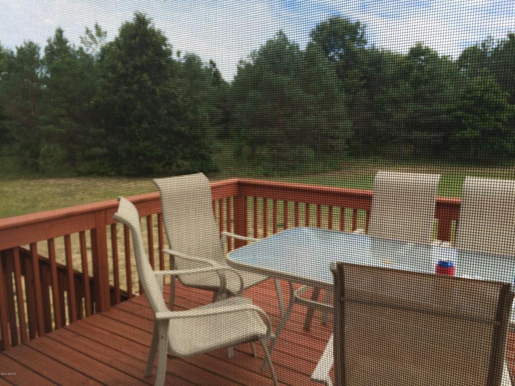 1890 Draper Dr, Stanton, MI 48888 photo 5