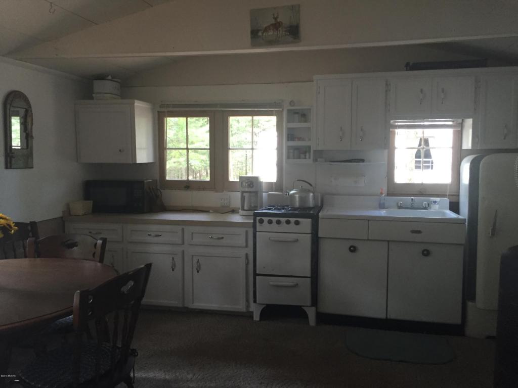 7063 76th St, Baldwin, MI 49304 photo 3