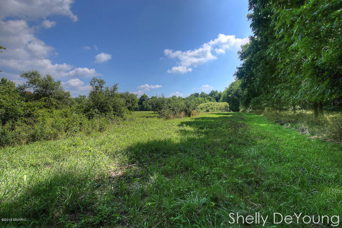 6250 Ingalls Rd, Belding, MI 48809 photo 36