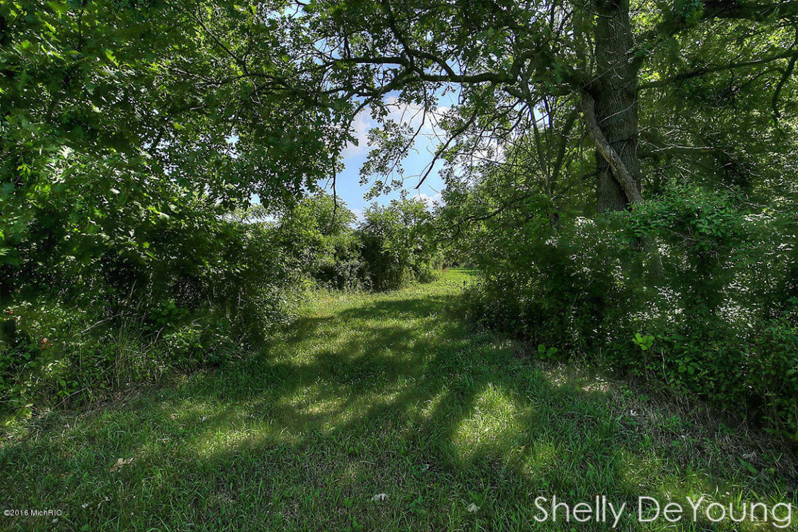 6250 Ingalls Rd, Belding, MI 48809 photo 35