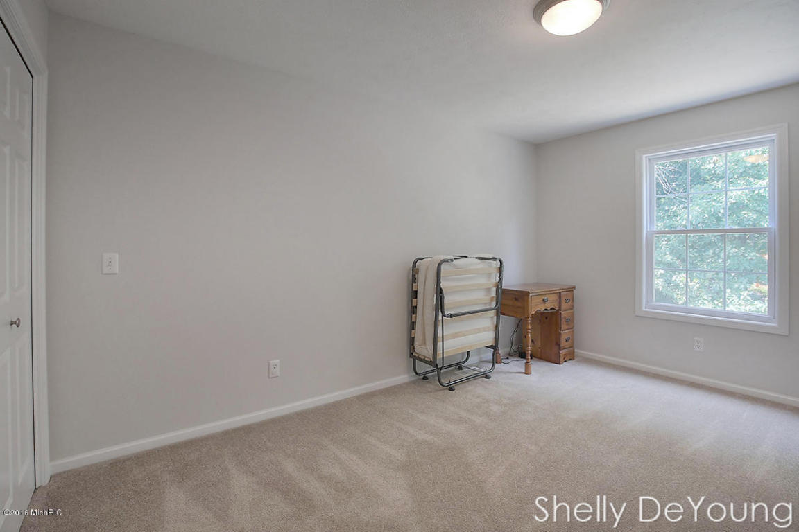 6250 Ingalls Rd, Belding, MI 48809 photo 19