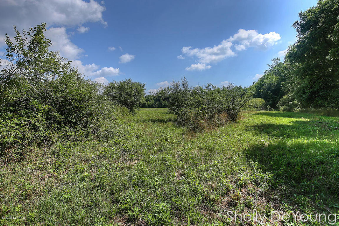 6250 Ingalls Rd, Belding, MI 48809 photo 37
